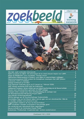 Zoekbeeld