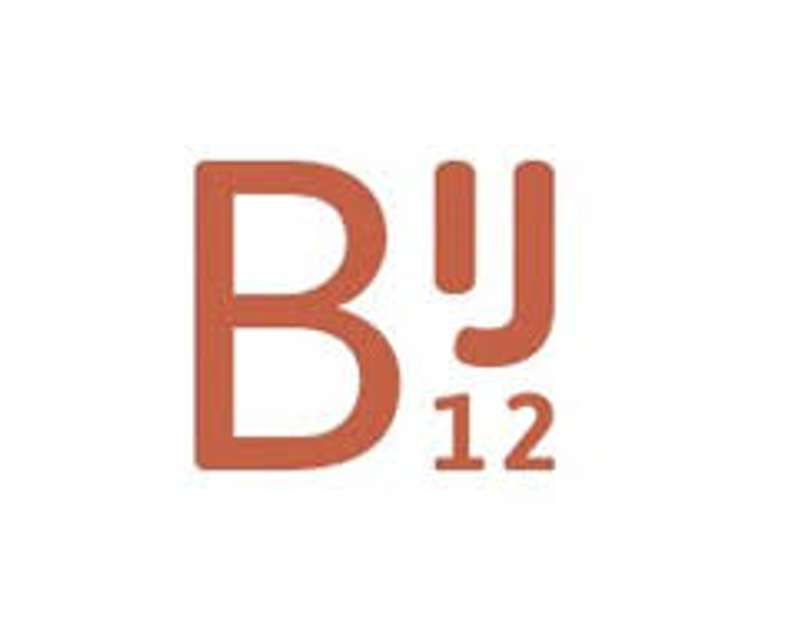 BIJ12