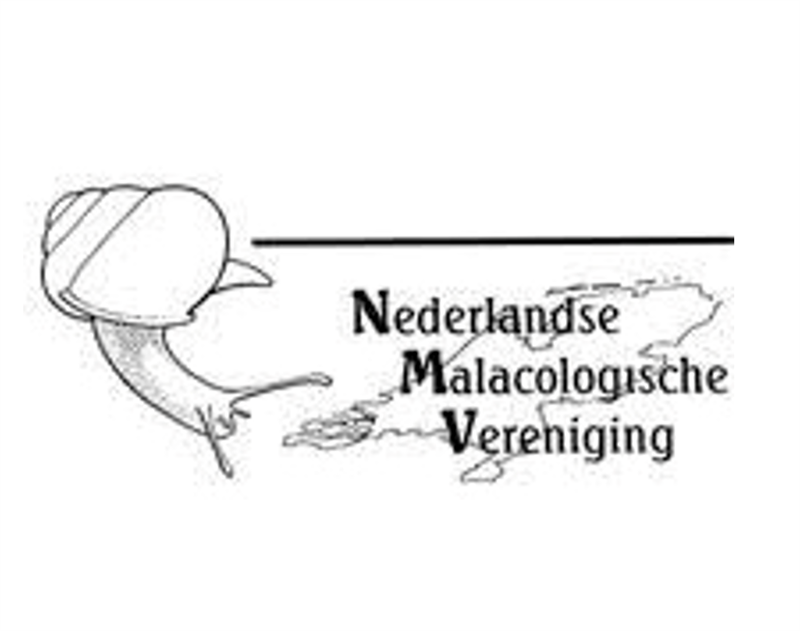 NMV