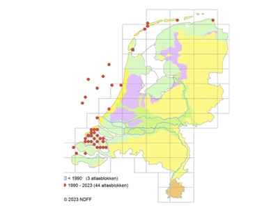 Atlasproject Nederlandse Zee-Organismen (ANZO)